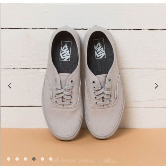 VANS AUTHENTIC (MONO SURPLUS) Microchip 8 - Picture 1 of 14